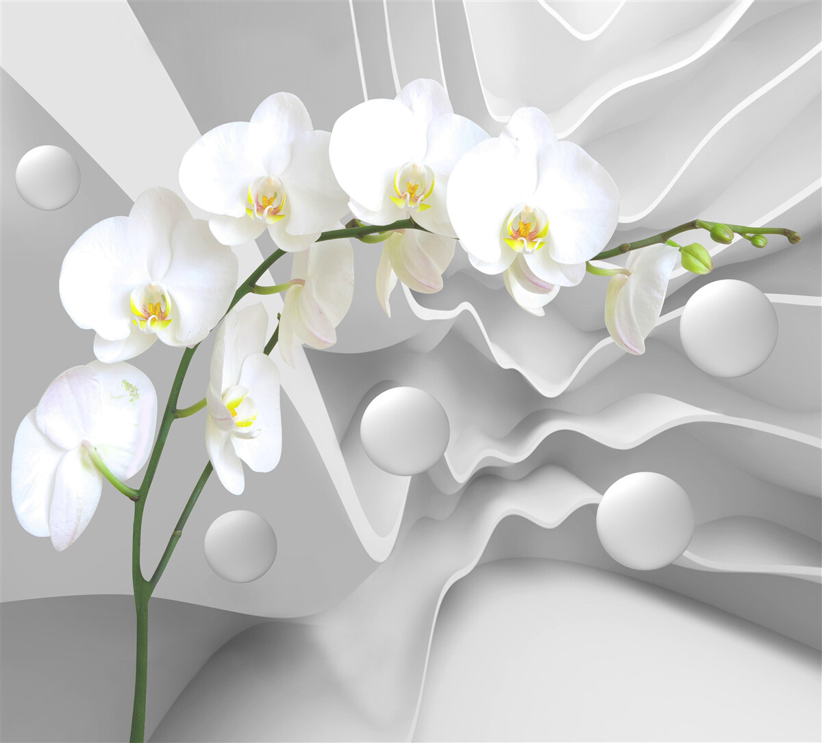 Fototapeta gałąź luksusowej abstrakcji białej orchidei