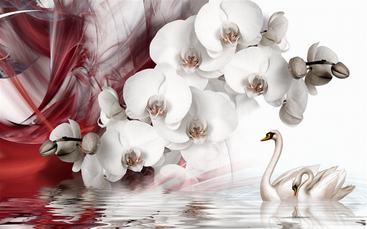 Fototapeta białe pąki orchidei w pobliżu wody z łabędziami