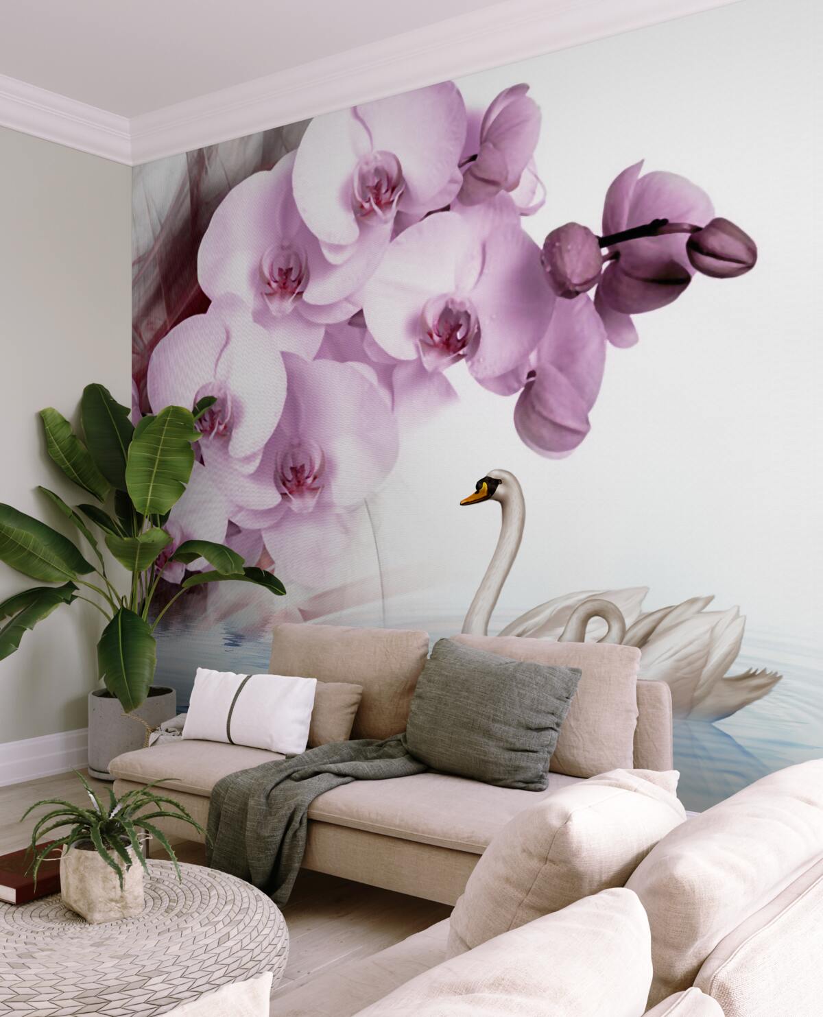 Fototapeta łabędzie na wodzie i delikatna liliowa orchidea