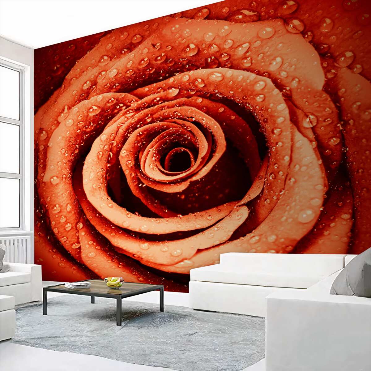 Fototapeta krople rosy na czerwonym pączku róży