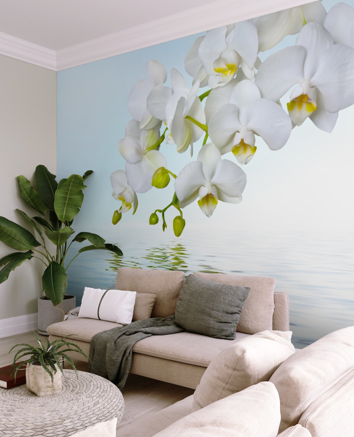 Fototapeta gałąź białej orchidei w pobliżu spokojnej wody
