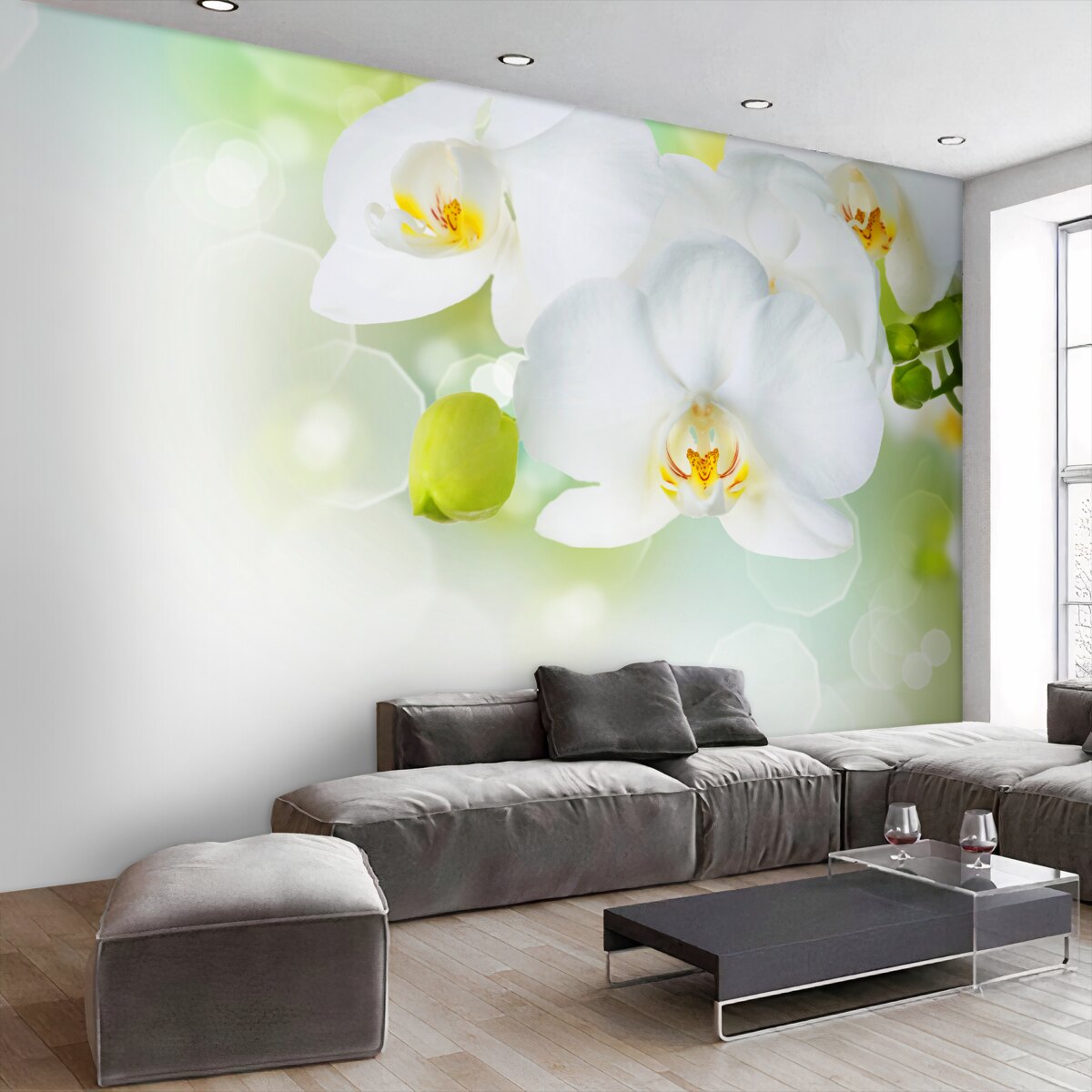 Fototapeta biała orchidea unosi się nad wodą