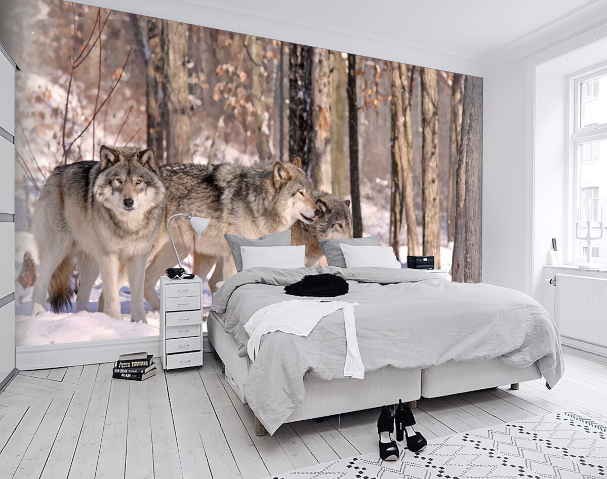 Fototapeta stado wilków w zimowym lesie