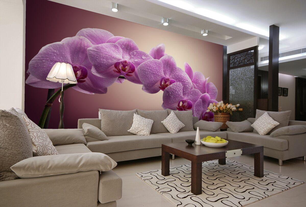 Fototapeta kwitnąca gałąź liliowej orchidei