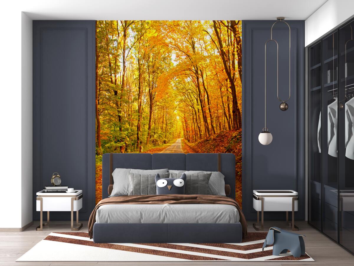 Fototapeta ścieżka w jesiennym lesie