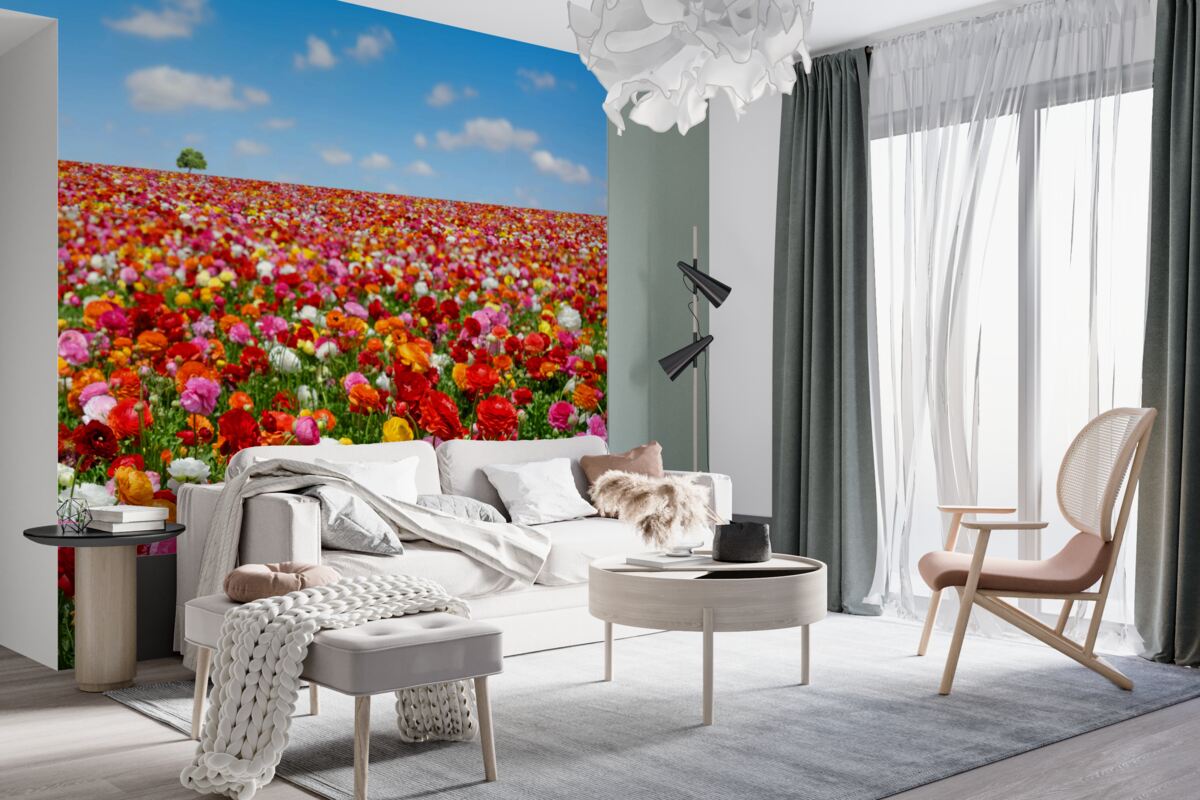 Fototapeta pole tysięcy kolorowych kwiatów