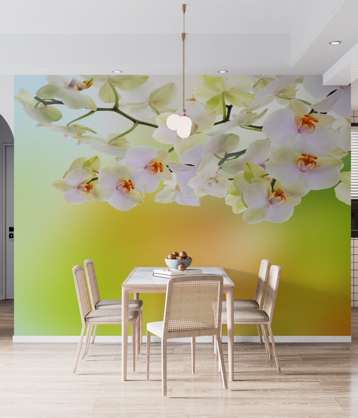 Fototapeta duże białe kwiaty orchidei na gałęzi