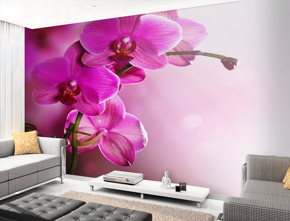 Fototapeta piękna gałąź liliowej orchidei w słońcu
