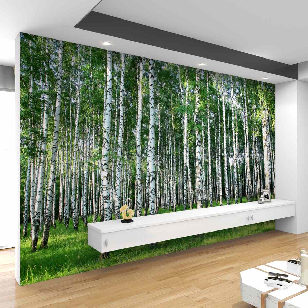 Fototapeta smukła letnia brzoza