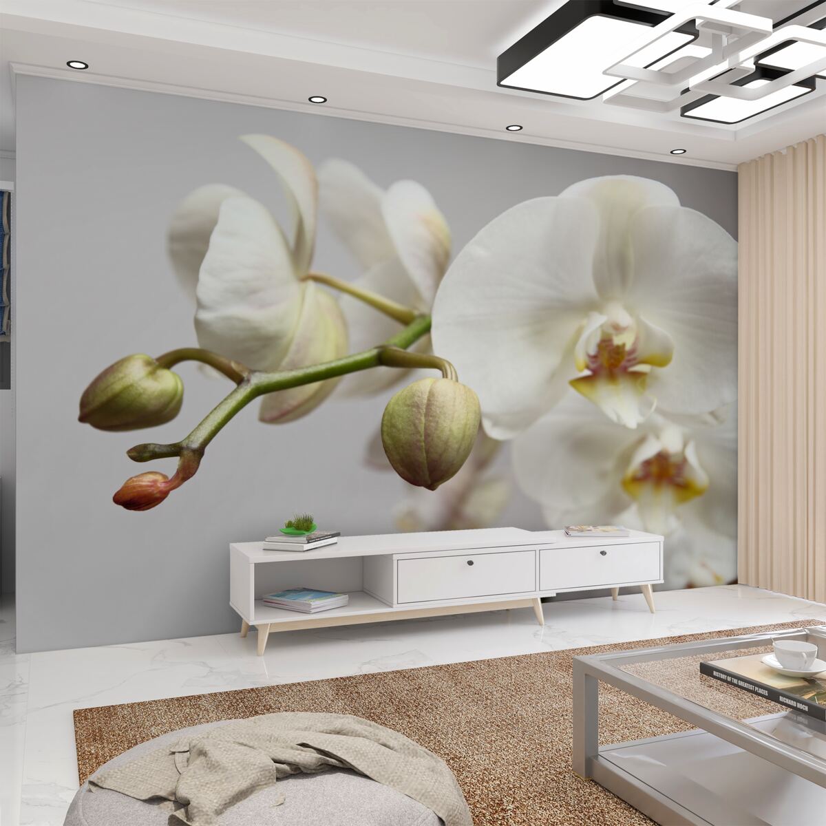 Fototapeta biała gałąź orchidei z kwiatami i pąkami