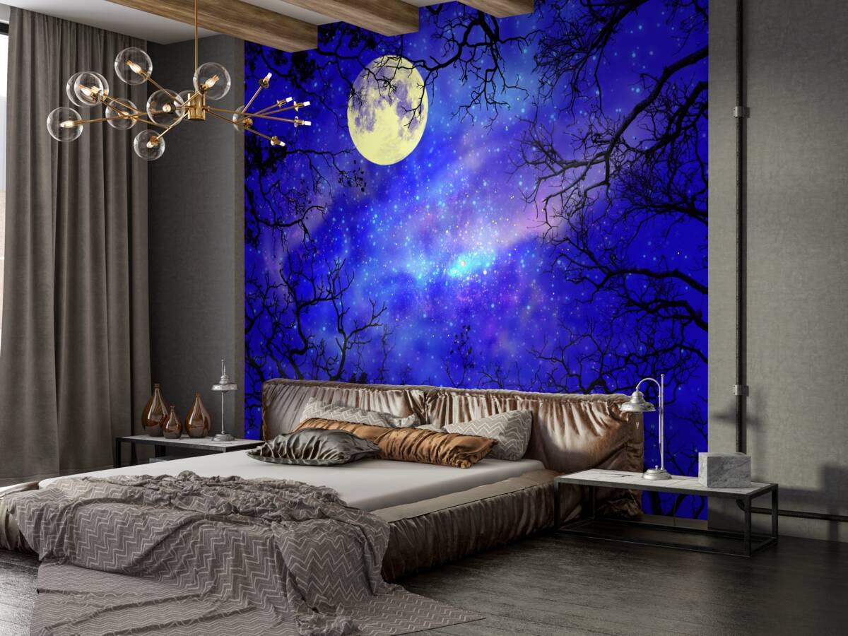 Fototapeta nocny jasny księżyc na rozgwieżdżonym niebie