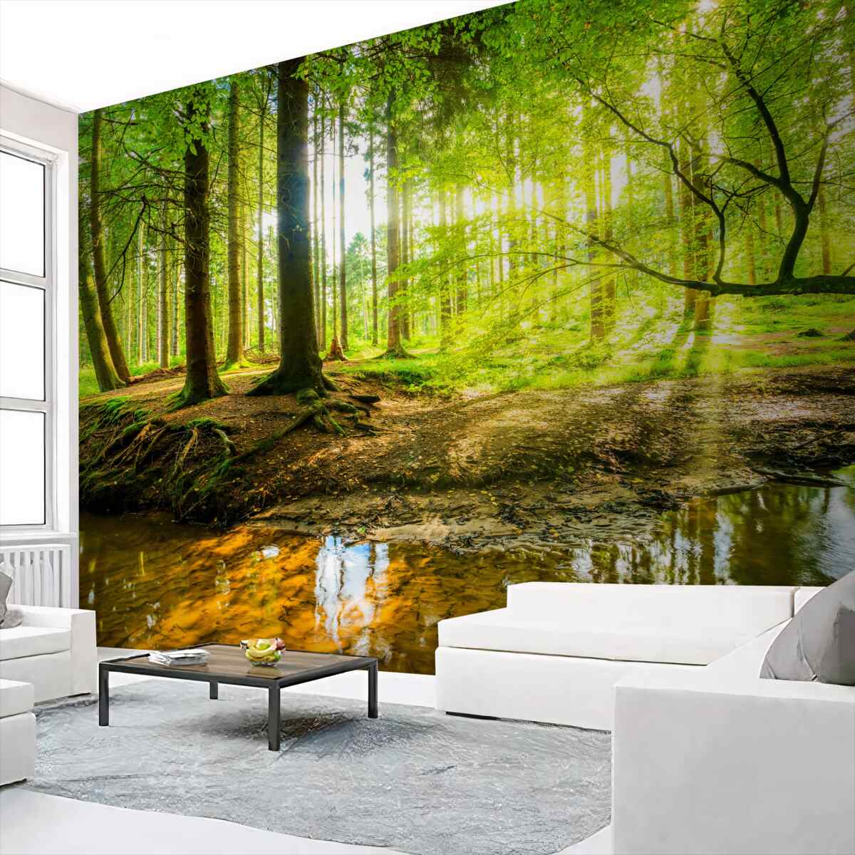 Fototapeta promienie słońca budzą śpiący las