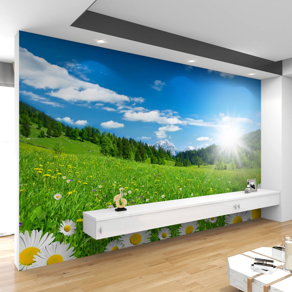 Fototapeta jasny wschód słońca nad polem łąki i stokrotek