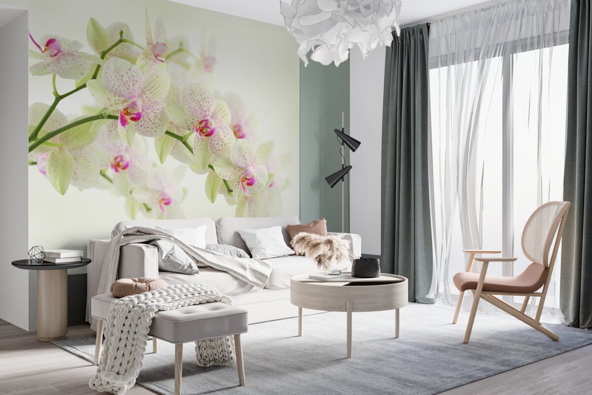 Fototapeta piękne grube gałęzie z pąkami orchidei