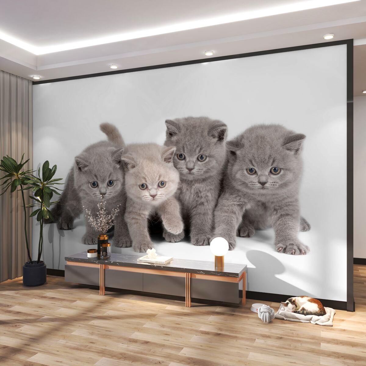 Fototapeta cztery urocze kociaki