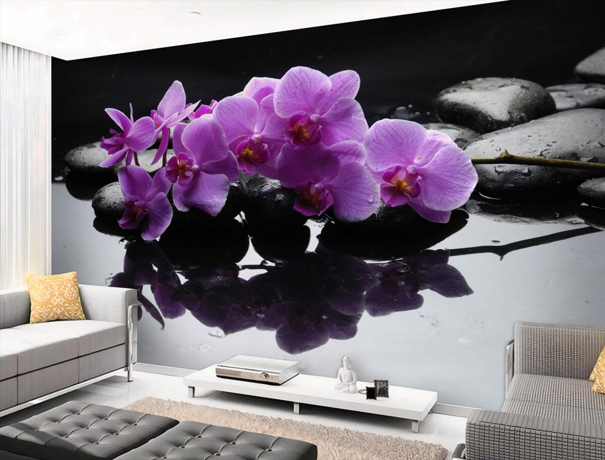 Fototapeta liliowe orchidee w pobliżu wody na kamieniu