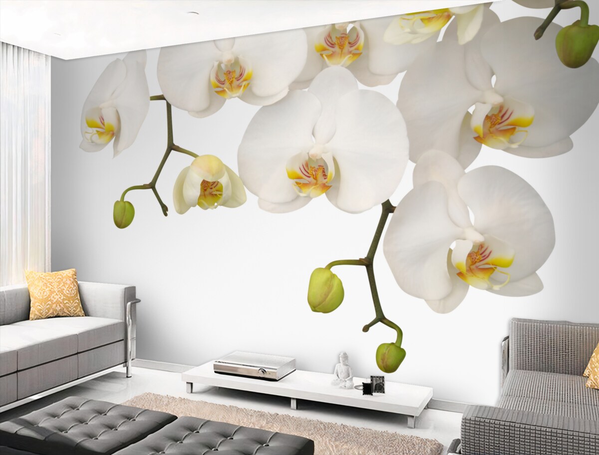 Fototapeta zwisają białe kwiaty orchidei