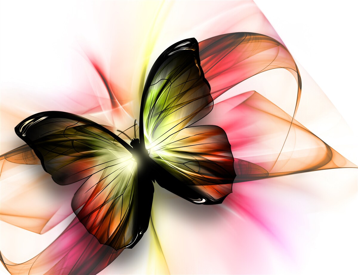 Fototapeta abstrakcyjny motyl w ciemnych kolorach motyl