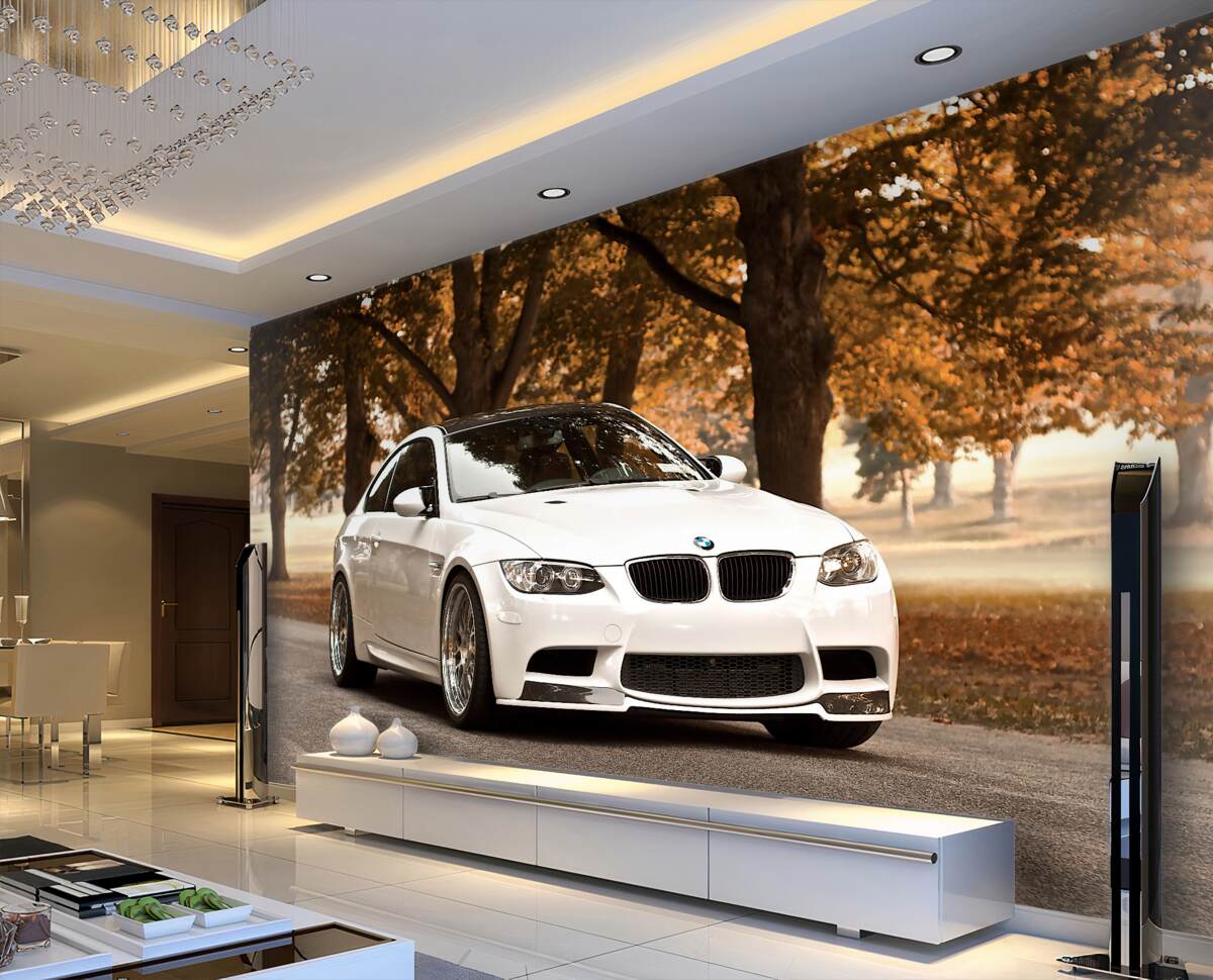 Fototapeta Białe BMW na drodze jesienią