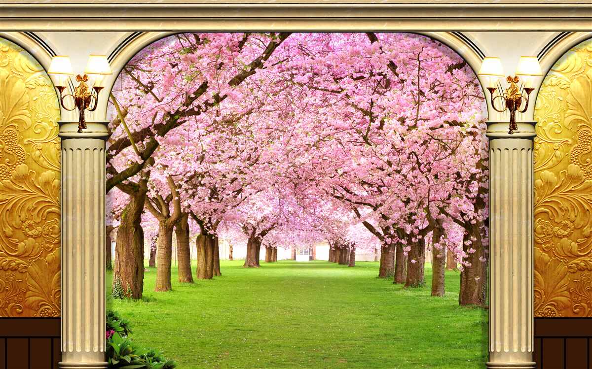 Fototapeta łuk z dostępem do alei Sakura