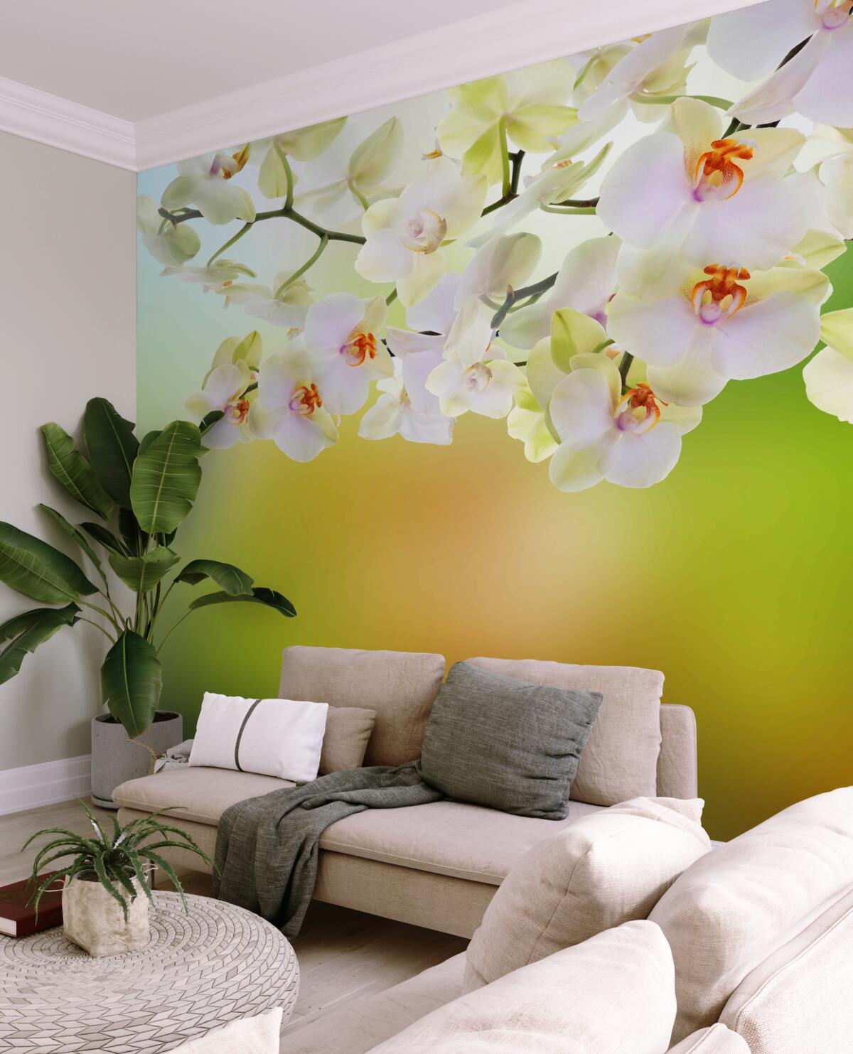 Fototapeta białe pąki i kwiaty orchidei na gałęziach