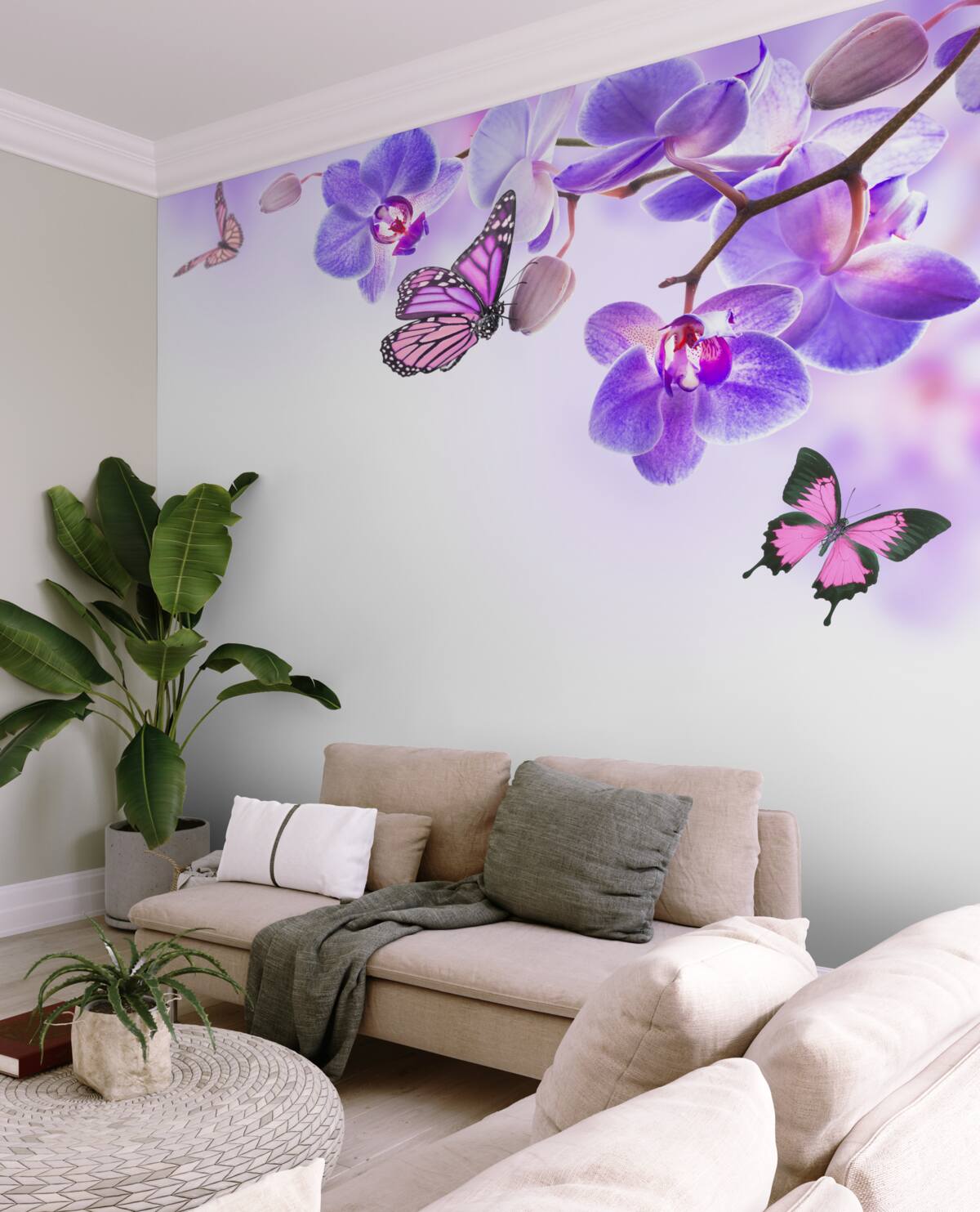 Fototapeta motyle nad niebieskimi liliowymi orchideami