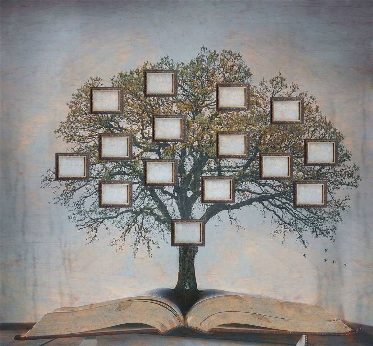 Fototapeta drzewo genealogiczne bez zdjęć