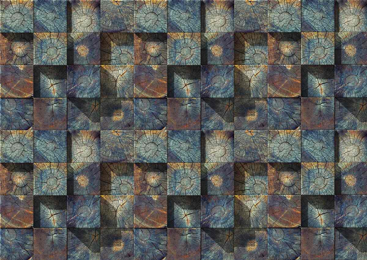 Fototapeta małe sadzonki drzew