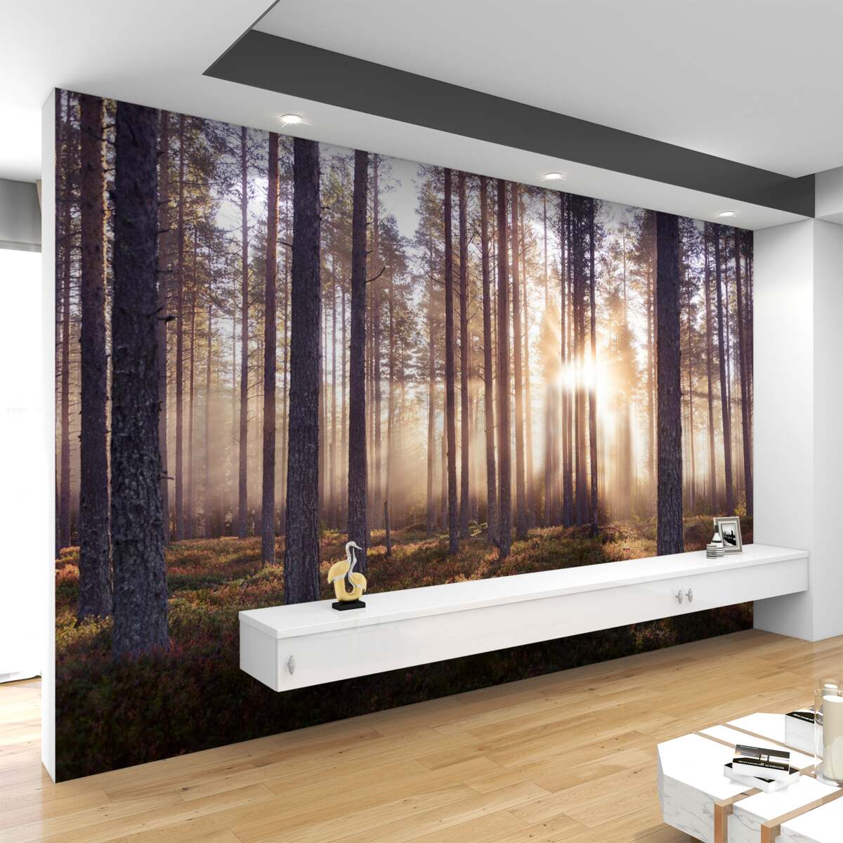 Fototapeta świt w lesie