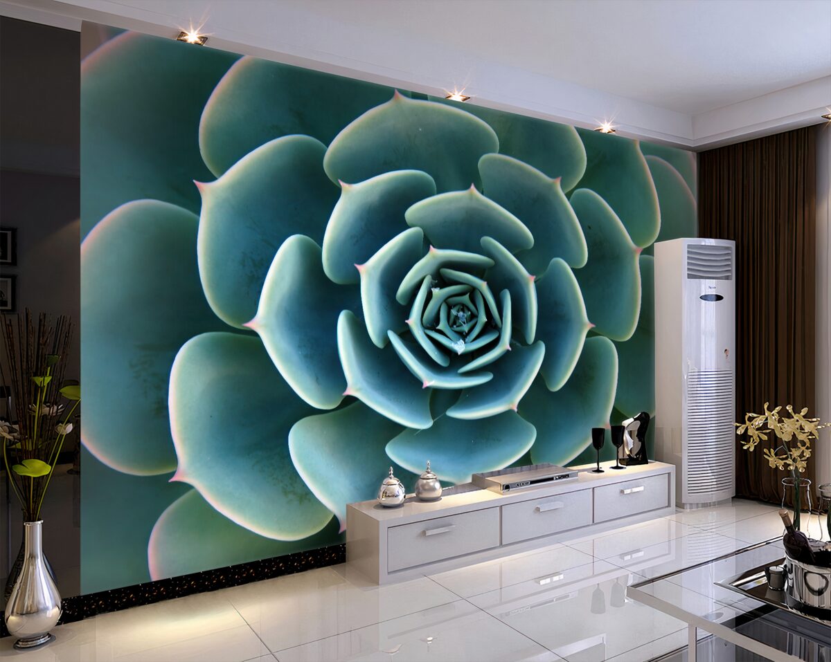 Fototapeta Powiększony obraz sukulentu