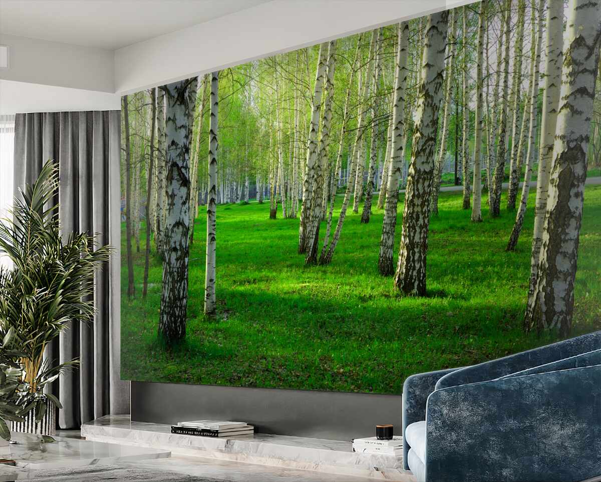 Fototapeta zielona trawa i drzewa