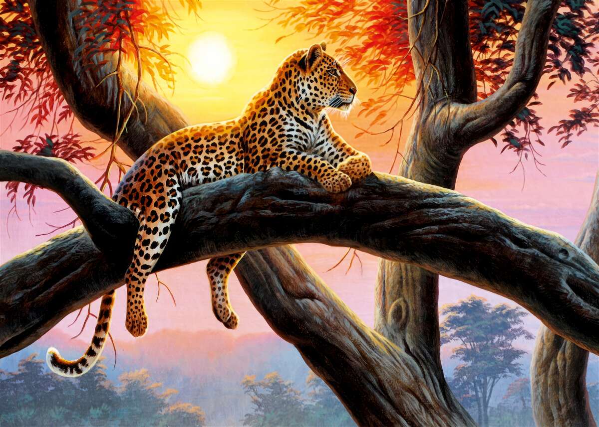 Fototapeta Gepard leży na drzewie