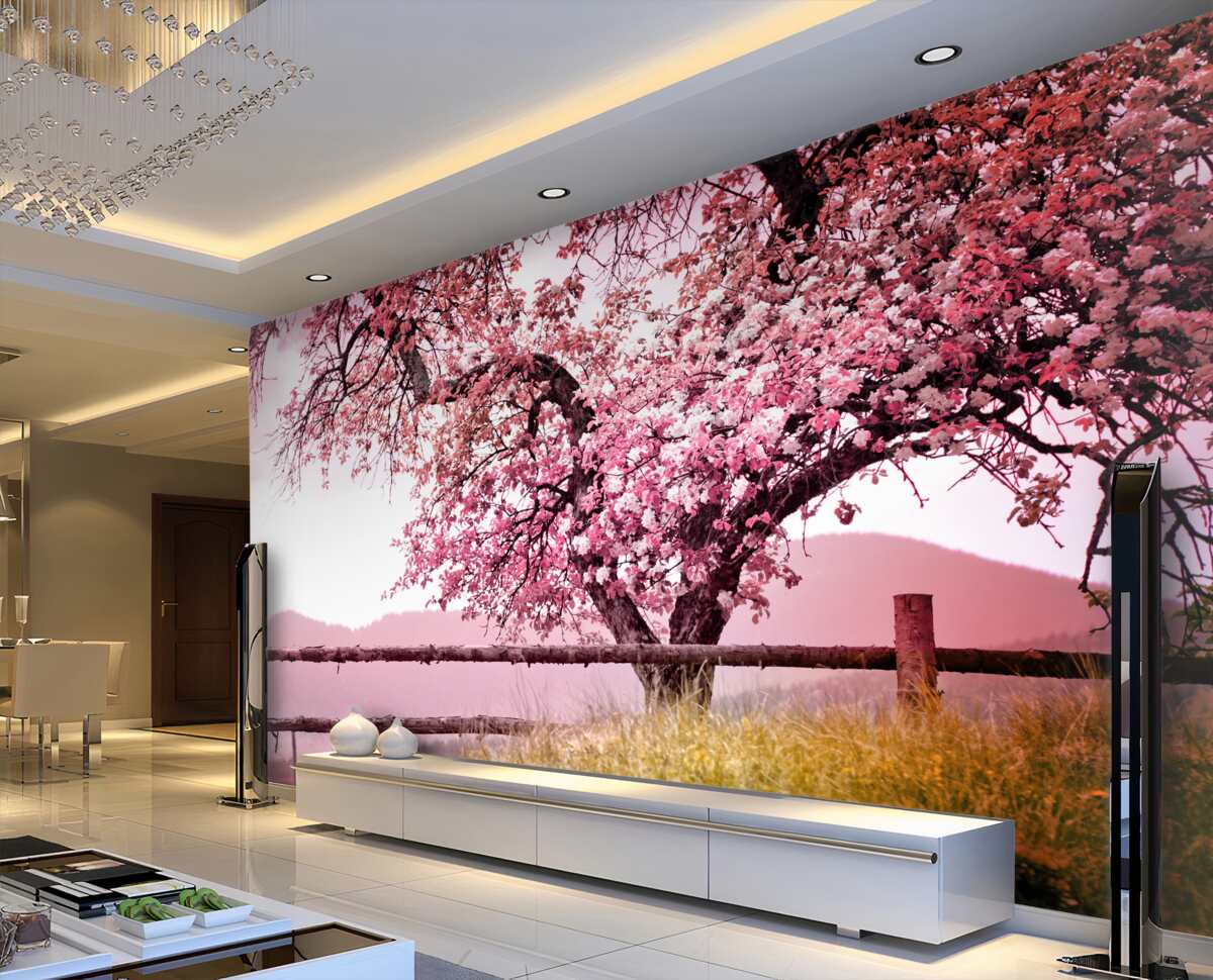 Fototapeta kwitnące drzewo sakura