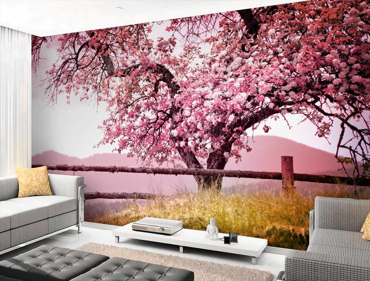 Fototapeta kwitnące drzewo sakura
