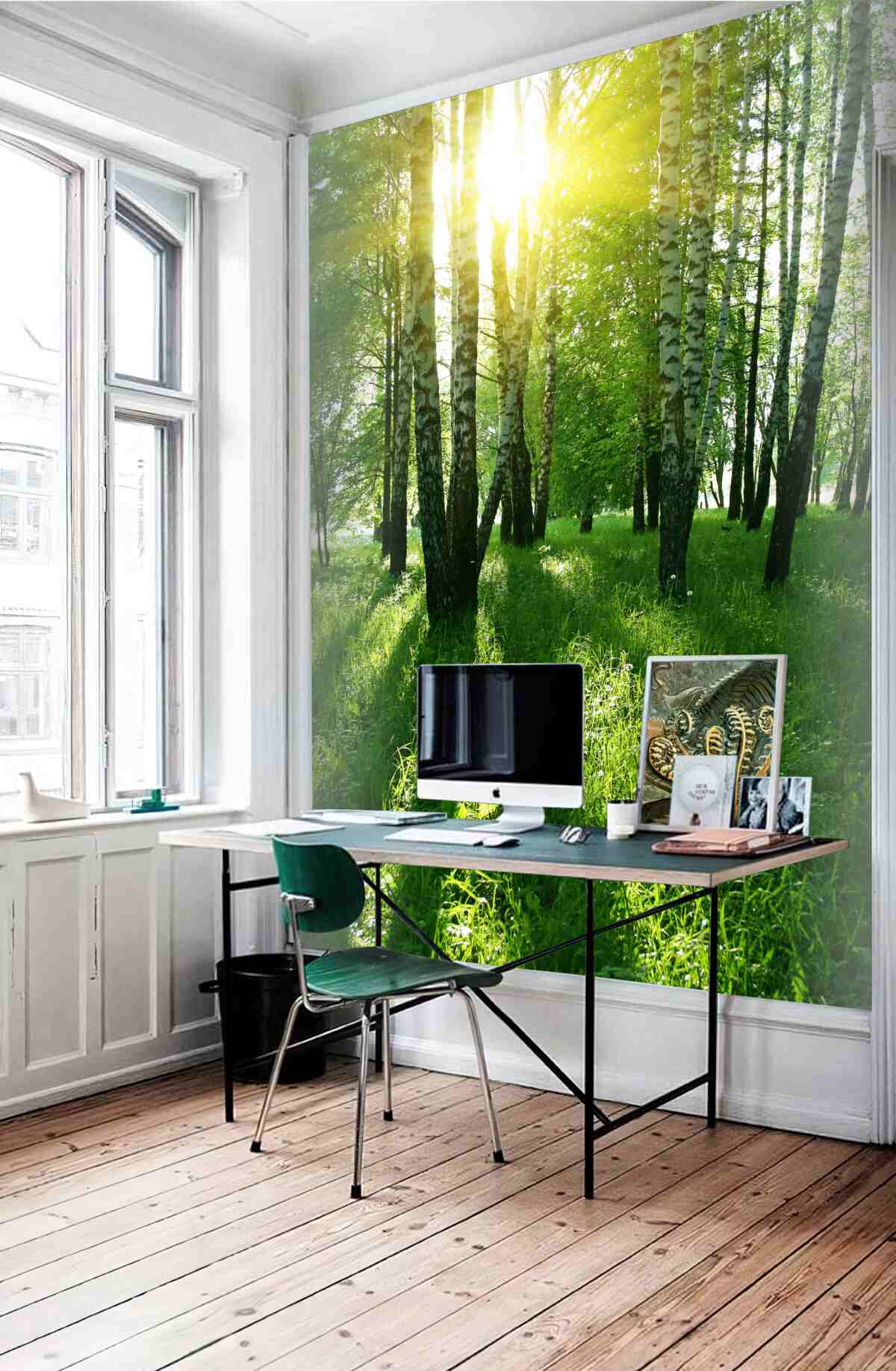 Fototapeta świt w lesie