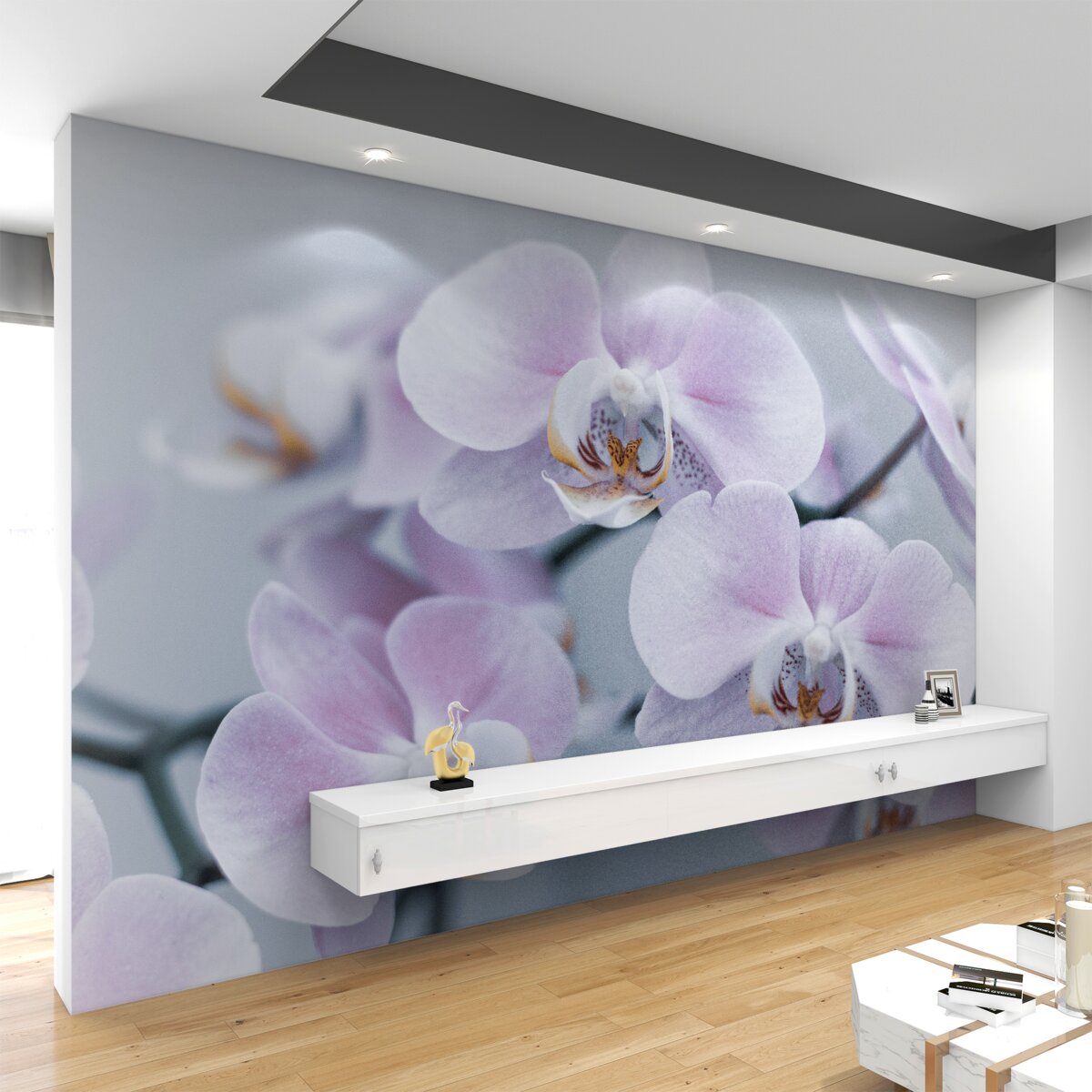 Fototapeta duże kwiaty orchidei