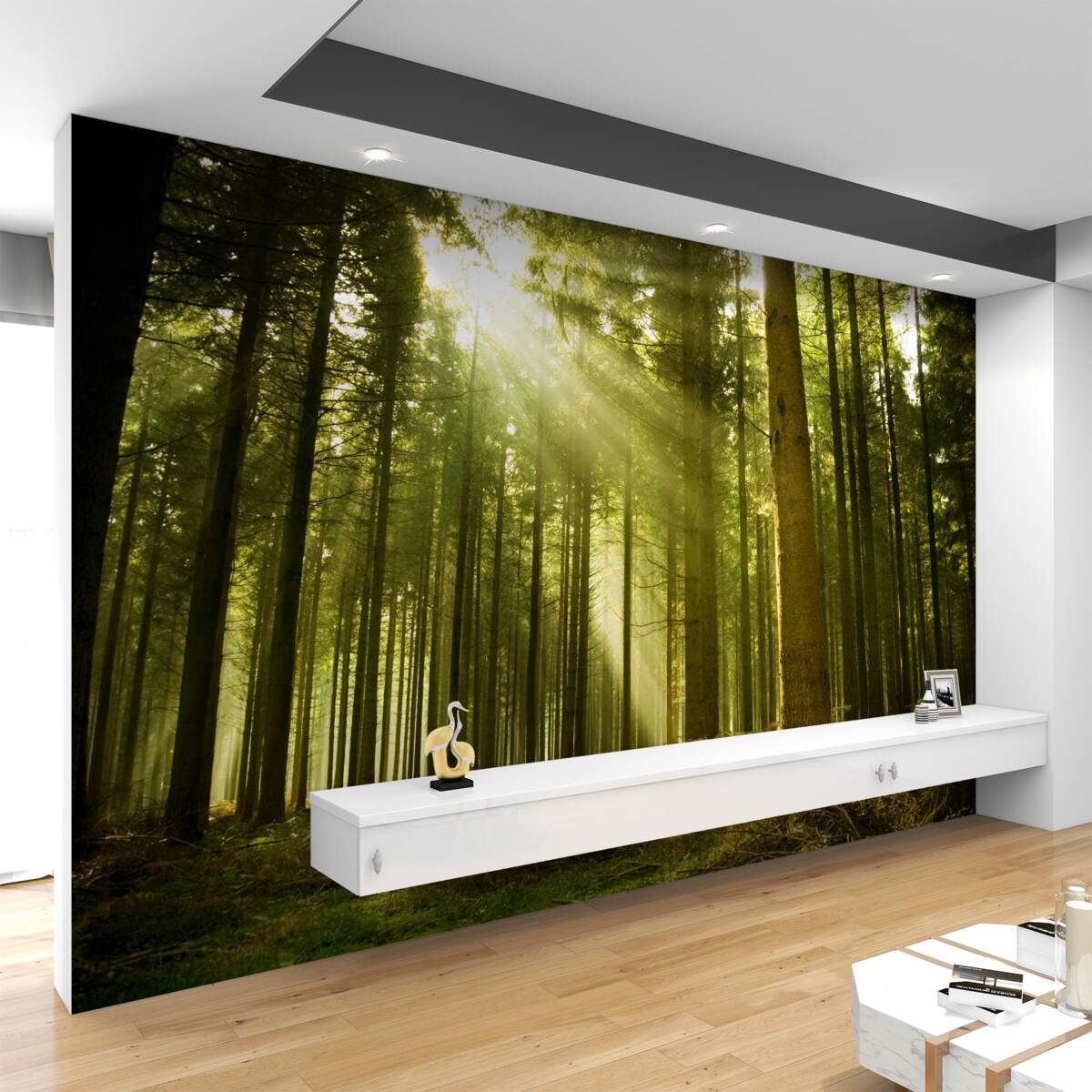 Fototapeta las oświetlają promienie słońca