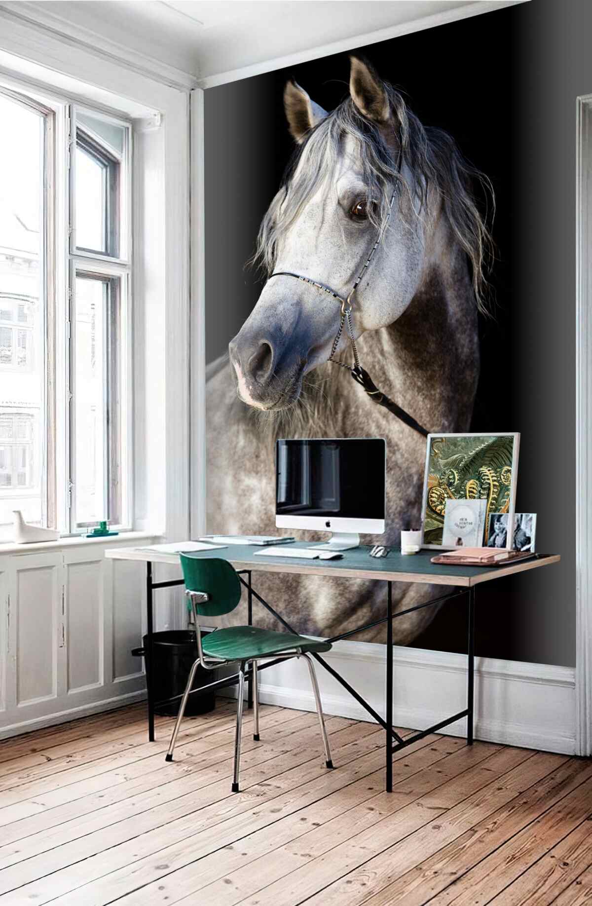 Fototapeta piękny profil konia na czarnym tle