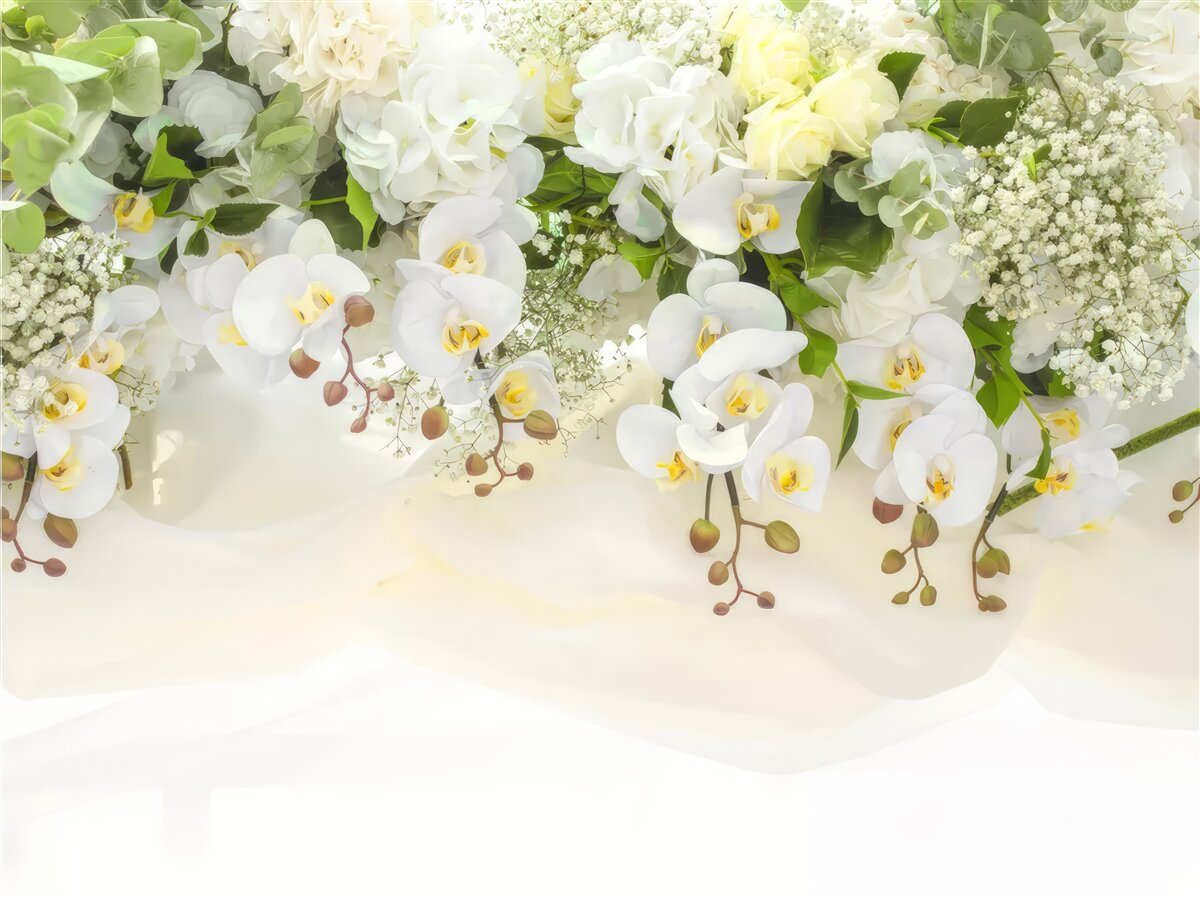 Fototapeta Wiszące białe orchidee