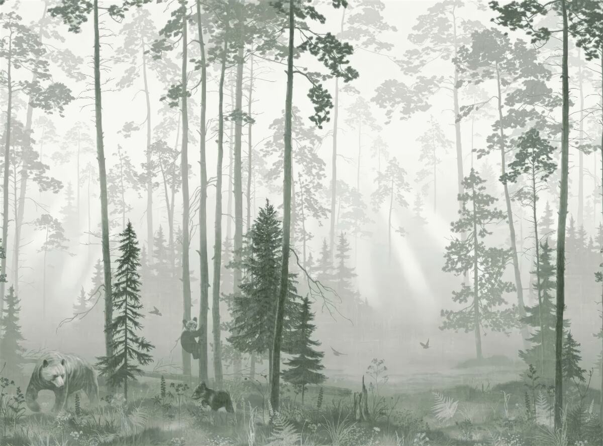 Fototapeta Niedźwiedzie w mglistym lesie