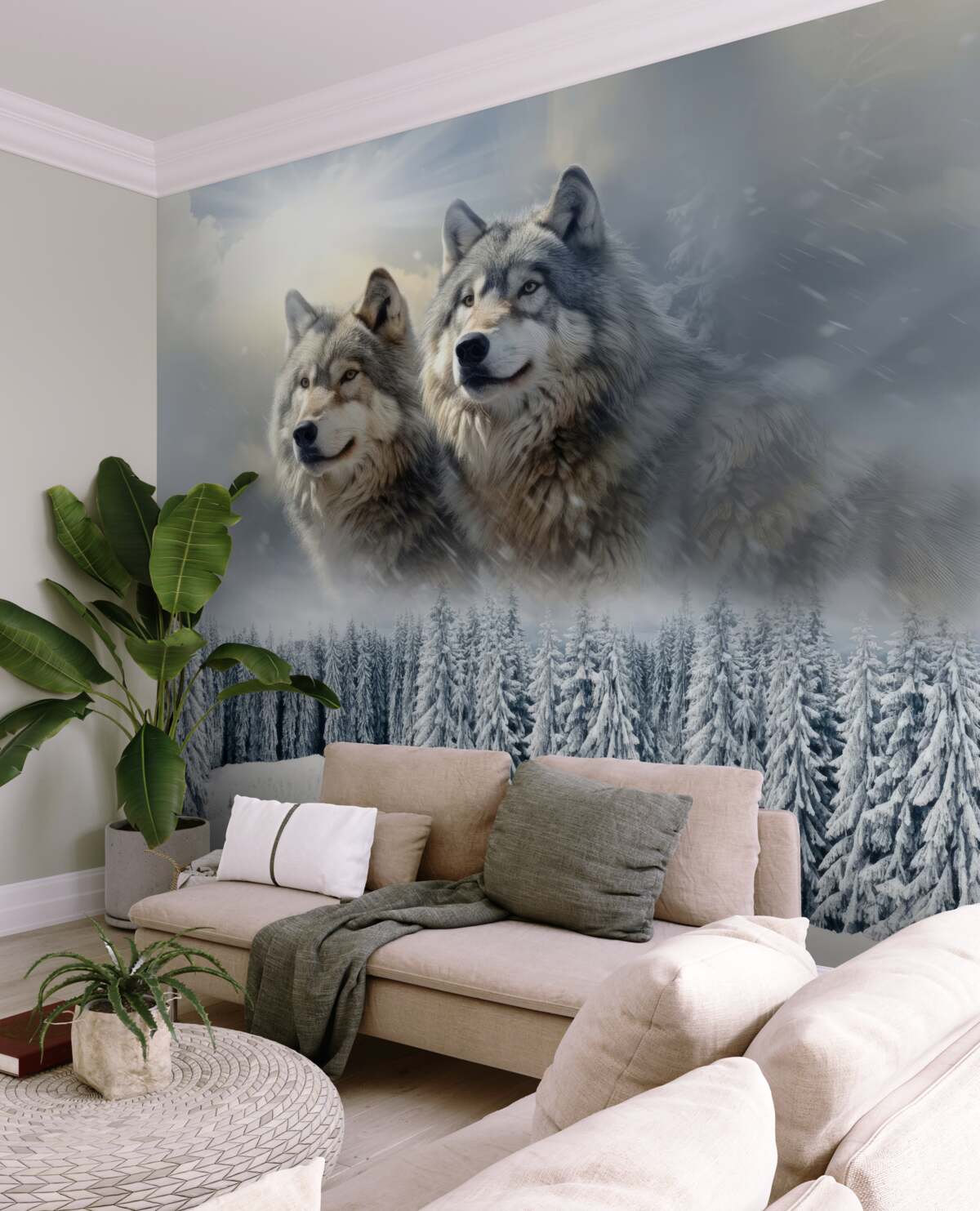 Fototapeta Dwa wilki na tle ośnieżonych jodeł