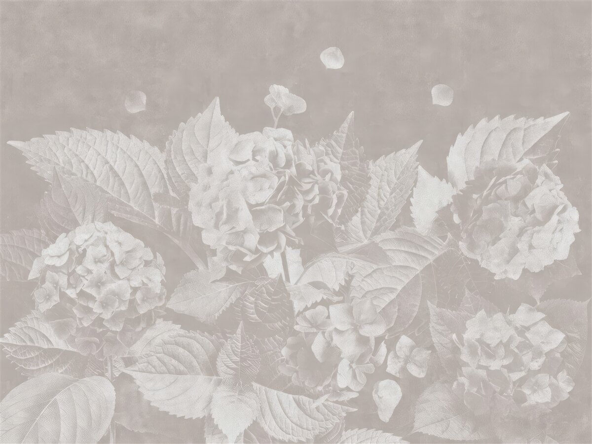 Fototapeta Magnolie ledwo widoczne
