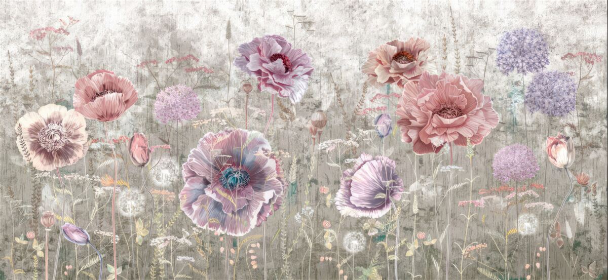 Fototapeta Wielokolorowe maki na łące