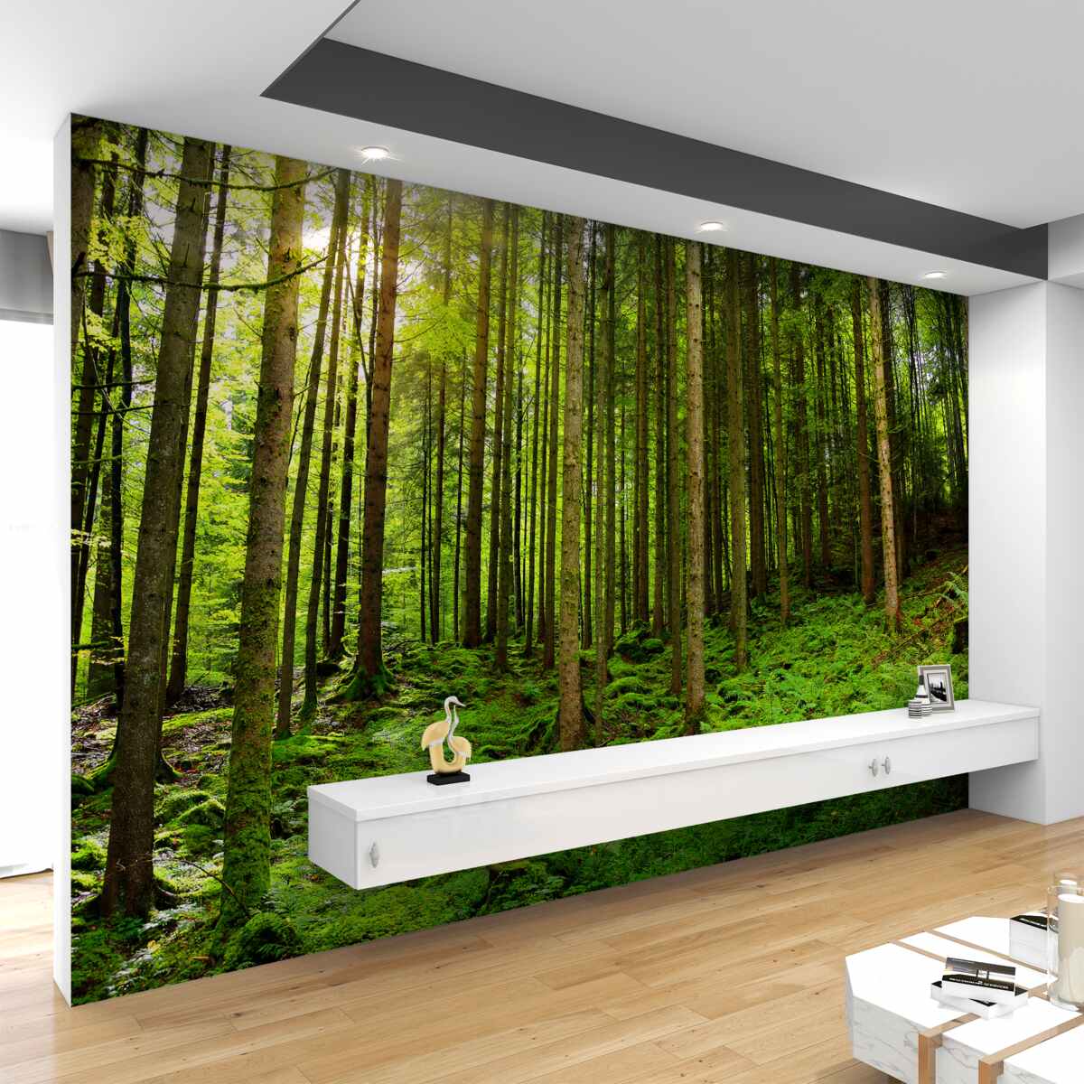 Fototapeta Promienie słońca przebijają las