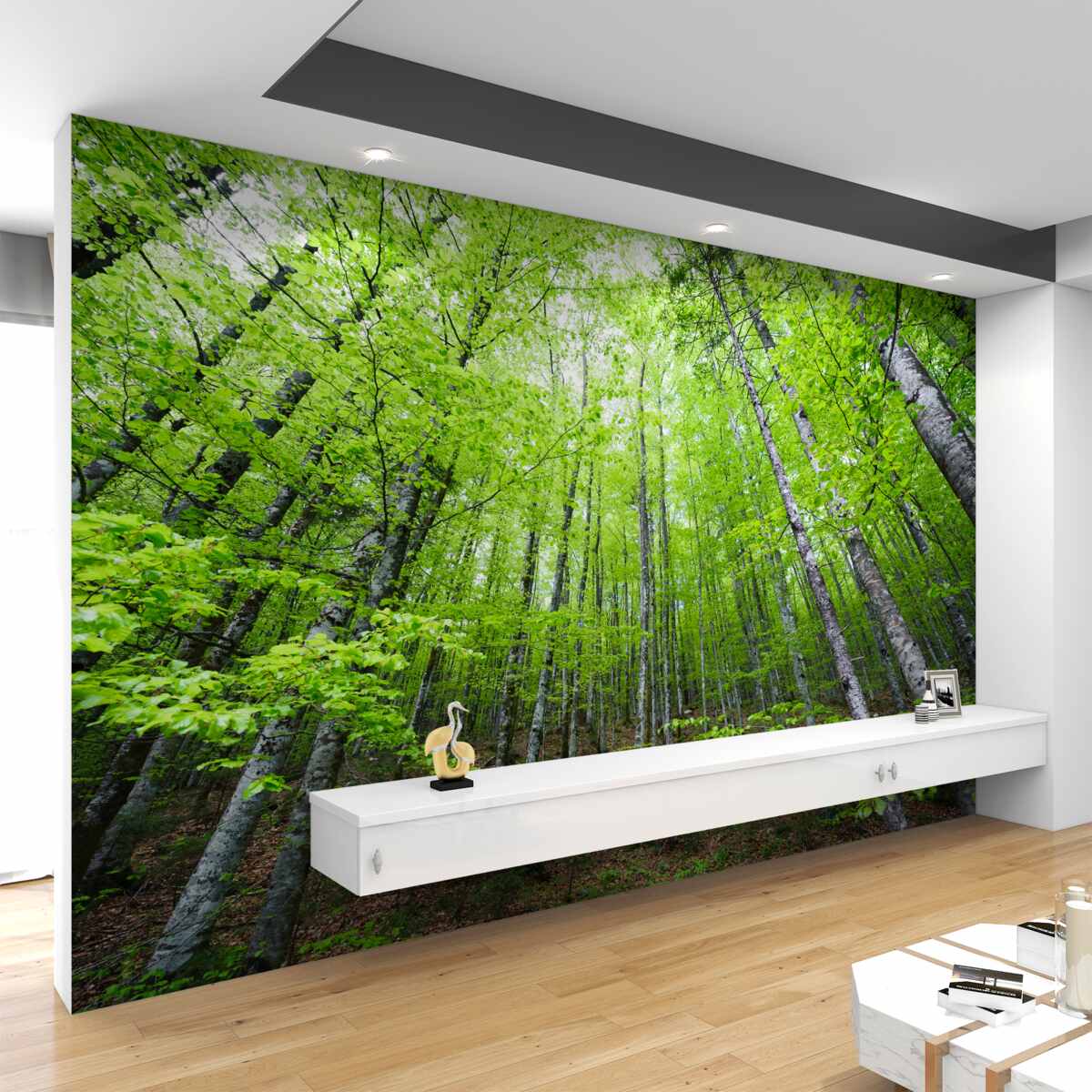 Fototapeta Jasnozielone korony leśne