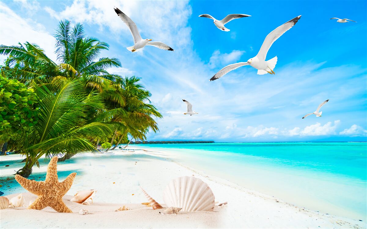 Fototapeta Cicha plaża w tropikach