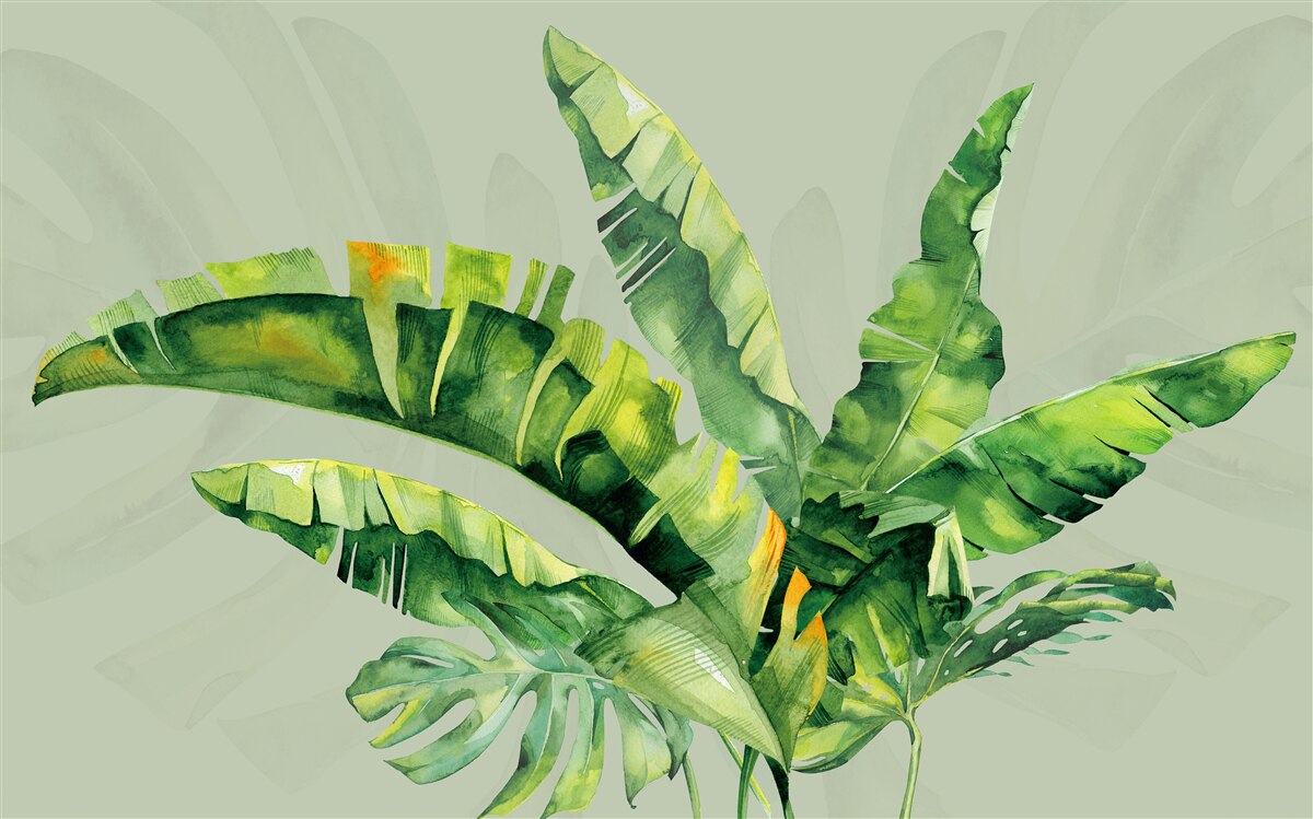 Fototapeta Zielona paproć i monstera