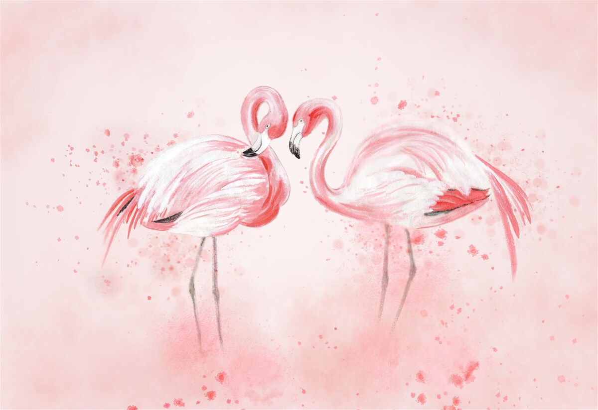 Fototapeta Niektóre flamingi