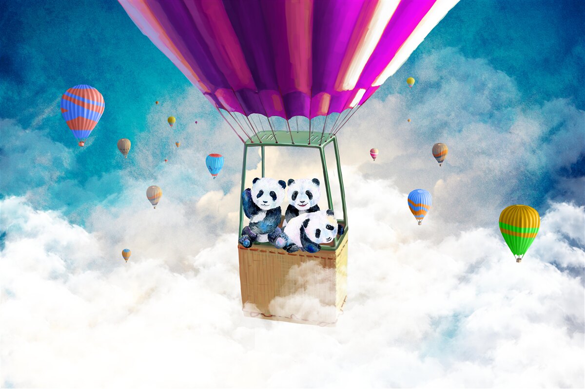 Fototapeta Panda leci balonem na ogrzane powietrze