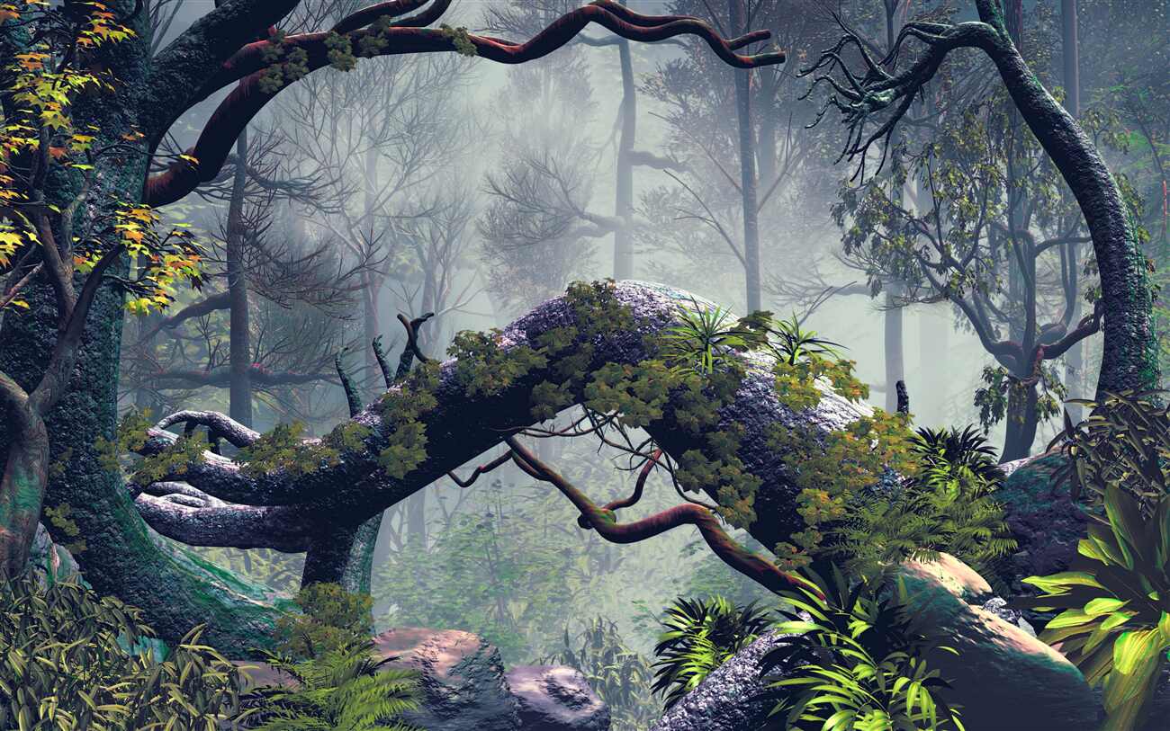 Fototapeta Blooming Night Forest